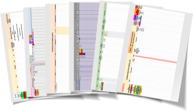 6 Planilhas de Acompanhamento